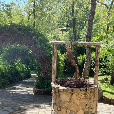 Robles 5 Estrellas De Calidad *