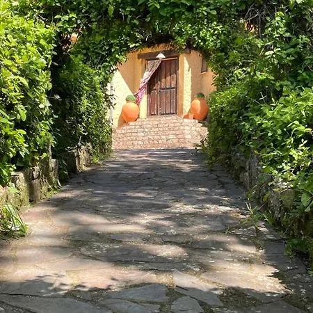 Robles 5 Estrellas De Calidad * Colmenar de Montemayor