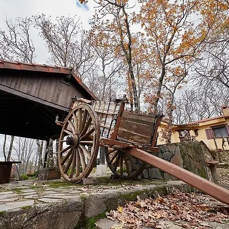 Robles 5 Estrellas De Calidad Colmenar de Montemayor